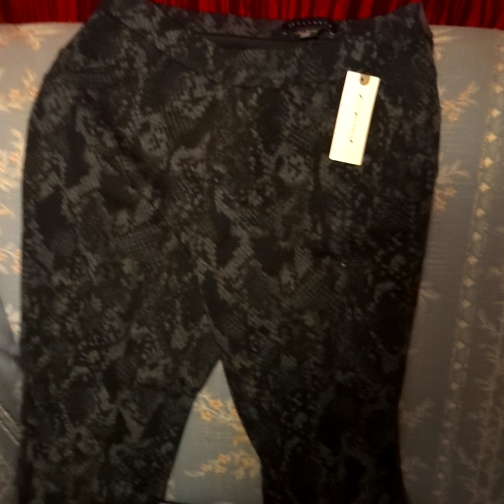 Sanctuary Anthropology Grease Legging
